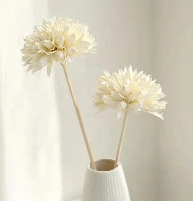 Bluejw High Quality Handmade Dried Magnolia Flowers – Natural Dried Plants for Elegant Bouquets & Home Decor - Image 3