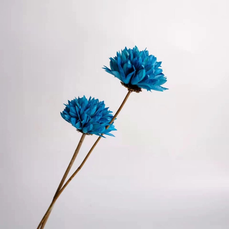 Bluejw High Quality Handmade Dried Magnolia Flowers – Natural Dried Plants for Elegant Bouquets & Home Decor - Image 1