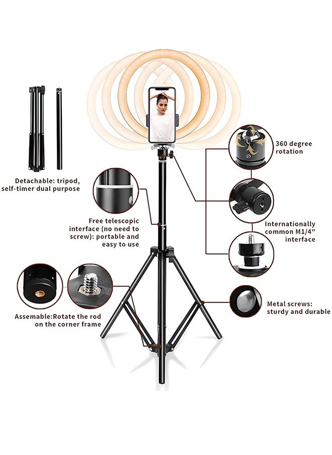 Generic Ring Light with Extendable Tripod Stand | LED Circle Lights with Phone Holder for Video Recording & Live Streaming (YouTube, Instagram, TikTok) | Compatible with Phones  - Image 5