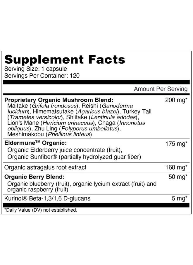 Dr. Fuhrman - Immune Biotect - 120 Capsules - 120 Capsules - Image 1