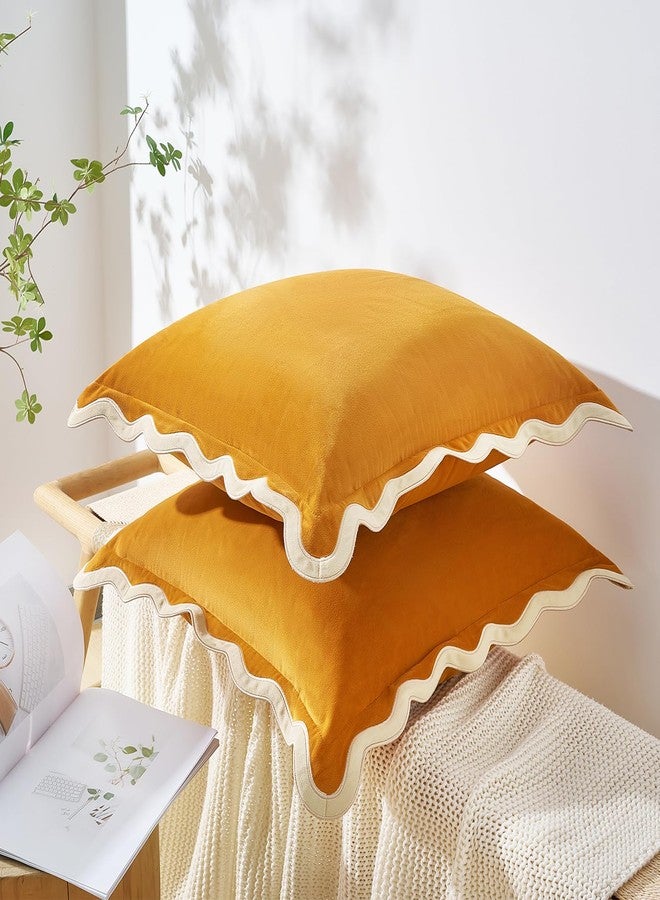MONDAY MOOSE أغطية وسائد زينة من مونداي موس، طقم من قطعتين من المخمل الناعم بتصميمات حواف مموجة، يمكن مزجها ومطابقتها لديكور المنزل، حشوات الوسائد غير متضمنة (20 × 20 بوصة، كريمي/عسلي) - Image 3