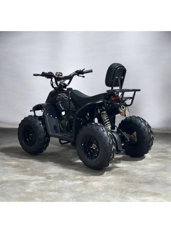 Four-wheeled motorcycle with a powerful 110cc engine and speedometer - Image 2