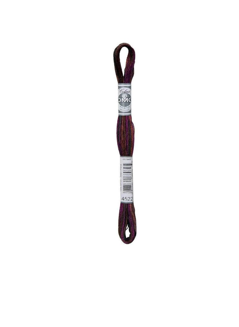 DMC DMC Coloris 6-Strand Embroidery Cotton Floss 8.7yd Canadian Night  - Image 3