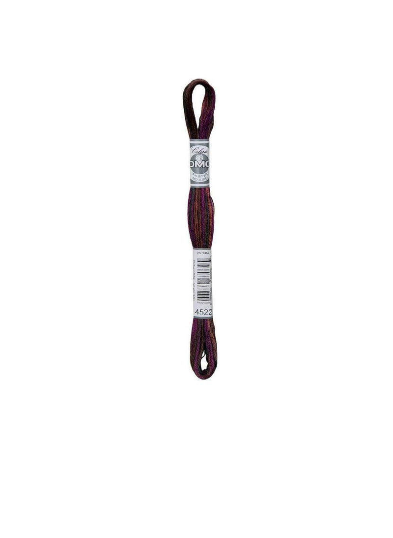 DMC DMC Coloris 6-Strand Embroidery Cotton Floss 8.7yd Canadian Night  - Image 1