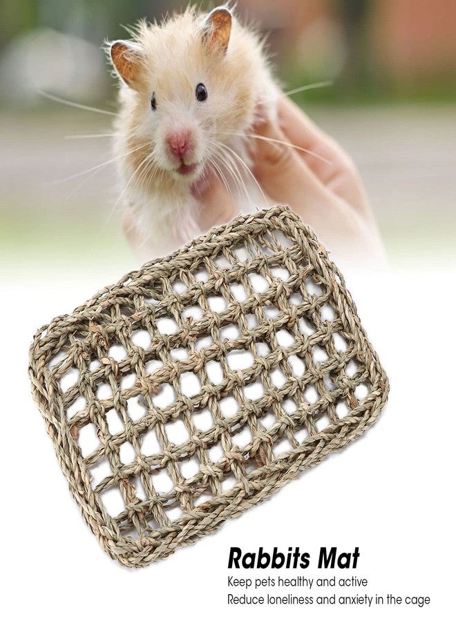Honio Rabbit Activity Mat, Safe Seagrass Non Toxic Rabbits Chew Mat for Bunny Chinchilla Hamsters - Image 3