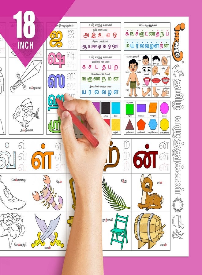 Inkmeo | Tamil Alphabet Colouring Roll | AR Enabled | Interactive Educational Learning Chart | for Kids | Ages 2+ | Educational Gift | Size (18 X 84 Inches) | Language Development - Image 3