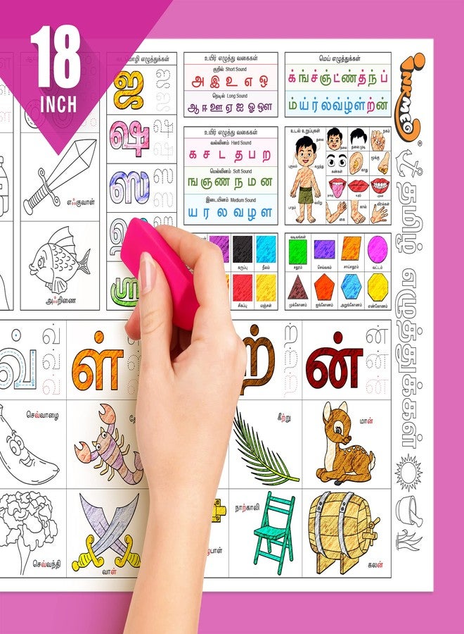 Inkmeo | Tamil Alphabet Colouring Roll | AR Enabled | Interactive Educational Learning Chart | for Kids | Ages 2+ | Educational Gift | Size (18 X 84 Inches) | Language Development - Image 4
