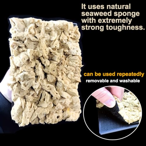 BANCOO Natural Sea Sponge Daubers for Wall Texture Painting - Reusable Texturing Tool for Intricate Patterns, Professional & DIY Home Renovation Art Paint Projects (BC018-M) - Image 3