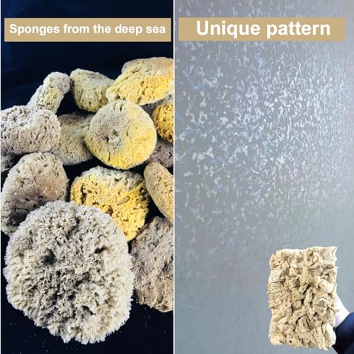 BANCOO Natural Sea Sponge Daubers for Wall Texture Painting - Reusable Texturing Tool for Intricate Patterns, Professional & DIY Home Renovation Art Paint Projects (BC018-M) - Image 4