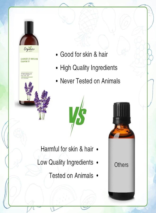 Organic Bliss Lavender of Himalayan Essential Oil 100% Pure and Natural Therapeutic Grade Essential Oil for Hair Skin Care (50 ML) - Image 2