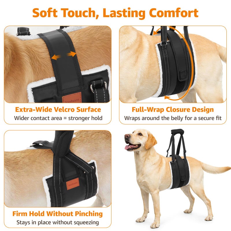 LOOBANI Dog Lift Harness for Back Legs, Portable Dog Sling for Large Dogs Hind Leg Support, Comfortable Leg Support Assistance for Elderly Dogs with Hip, ACL Brace, Senior, Injured - Image 3