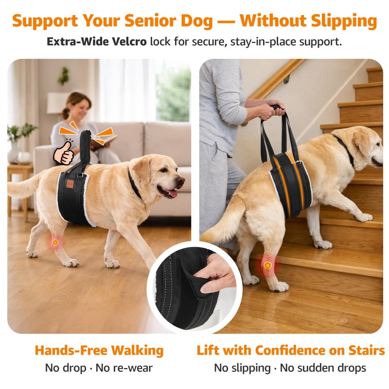 LOOBANI Dog Lift Harness for Back Legs, Portable Dog Sling for Large Dogs Hind Leg Support, Comfortable Leg Support Assistance for Elderly Dogs with Hip, ACL Brace, Senior, Injured - Image 2