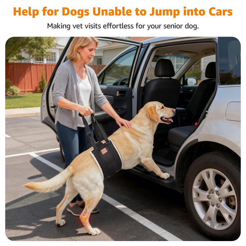 LOOBANI Dog Lift Harness for Back Legs, Portable Dog Sling for Large Dogs Hind Leg Support, Comfortable Leg Support Assistance for Elderly Dogs with Hip, ACL Brace, Senior, Injured - Image 4