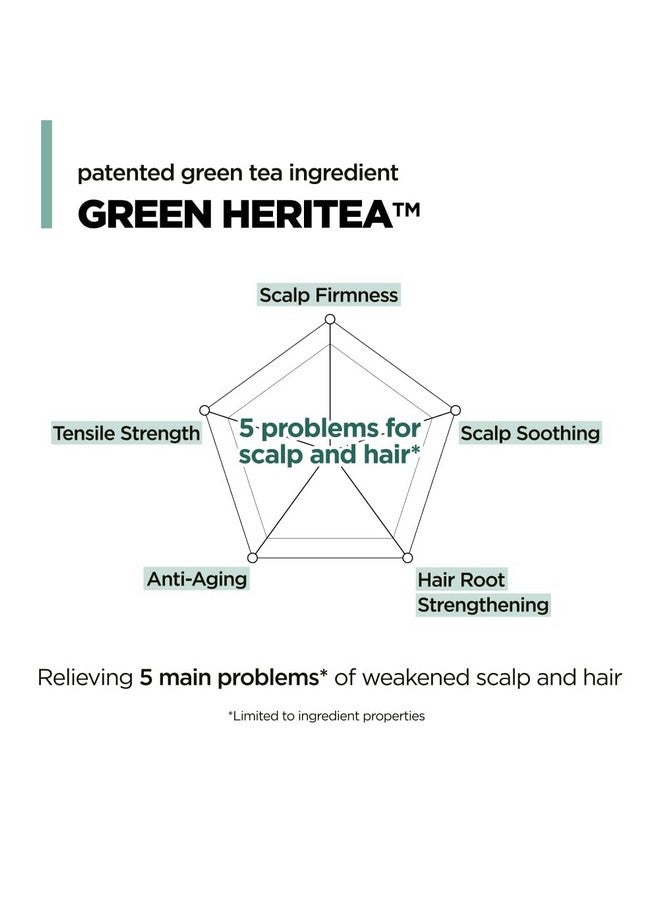 أموس بروفيشنال شامبو الشاي الأخضر المرطب للشعر الخفيف، شامبو كوري لفروة الرأس الجافة وفروة الرأس المتقشرة والحكة، يقوي الشعر، لجميع أنواع الشعر، 16.9 أونصة سائلة - Image 2