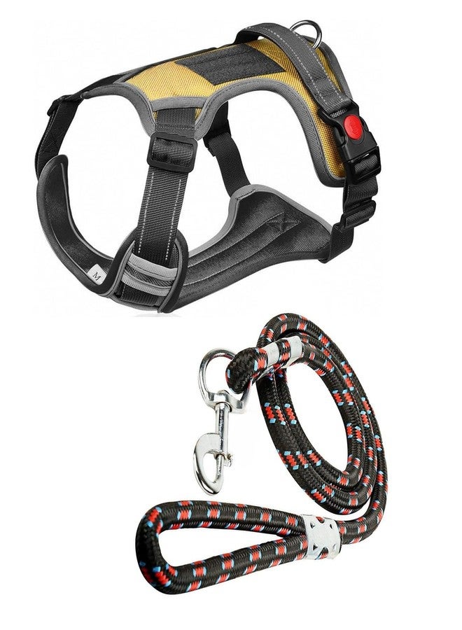 Berlin's PET ACCESSORIES Berlin's Nylon Dog Harness with Lease, No-Pull Dog Strap Pet Safety Belt with Control Handle, Harness for Medium&Large Dogs with Reflective Tape (Golden, XL for 22-45KGS Dog) - Image 1