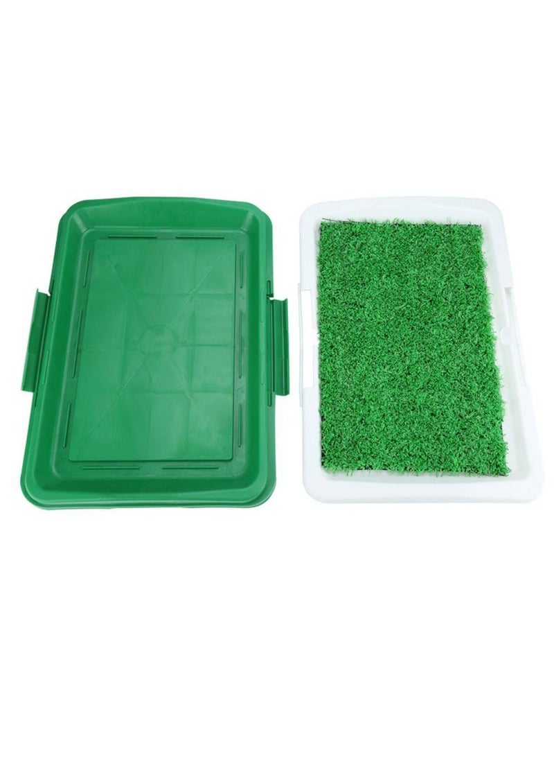 DubaiGallery Pet Potty Mat,Dog Pet Potty Mat Grass Pad with Mesh+Collection Tray Home Indoor Restroom Toilet Pee Training, Potty Mat - Image 1