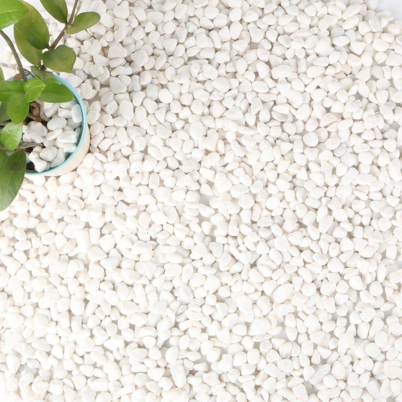 Anothera 18-lb Bulk Bag White Pebbles 1/2" Size Aquarium Gravel Outdoor Garden Paving Plant Decorative Stonesâ€¦ - Image 1