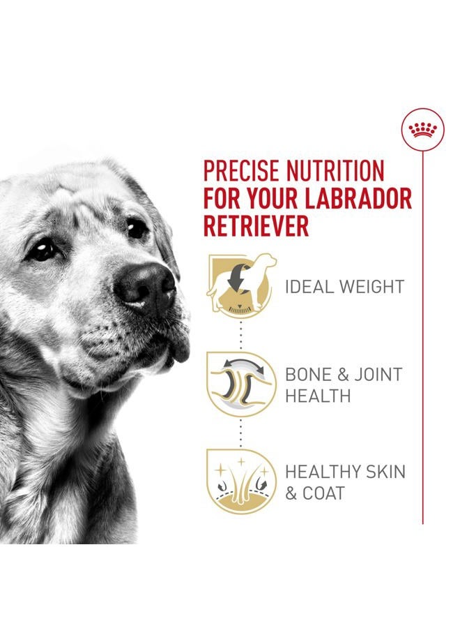 Royal Canin Breed Health Nutrition Labrador Retriever Adult Dry Dog Food 17 lb 453717 - Image 3