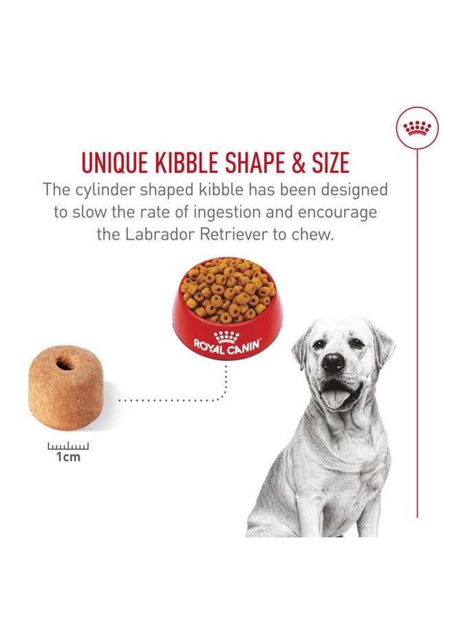 Royal Canin Breed Health Nutrition Labrador Retriever Adult Dry Dog Food 17 lb 453717 - Image 4
