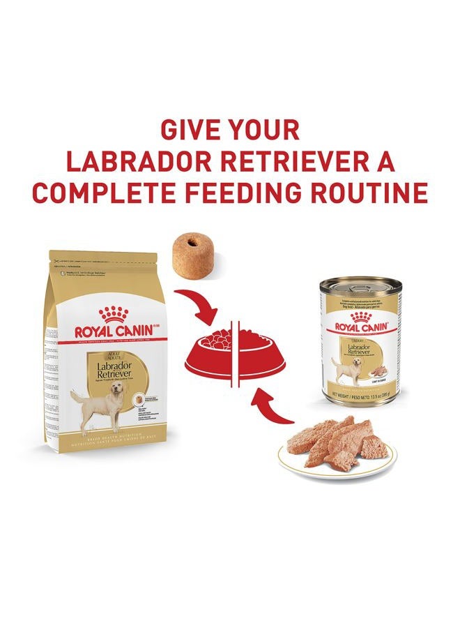 Royal Canin Breed Health Nutrition Labrador Retriever Adult Dry Dog Food 17 lb 453717 - Image 5