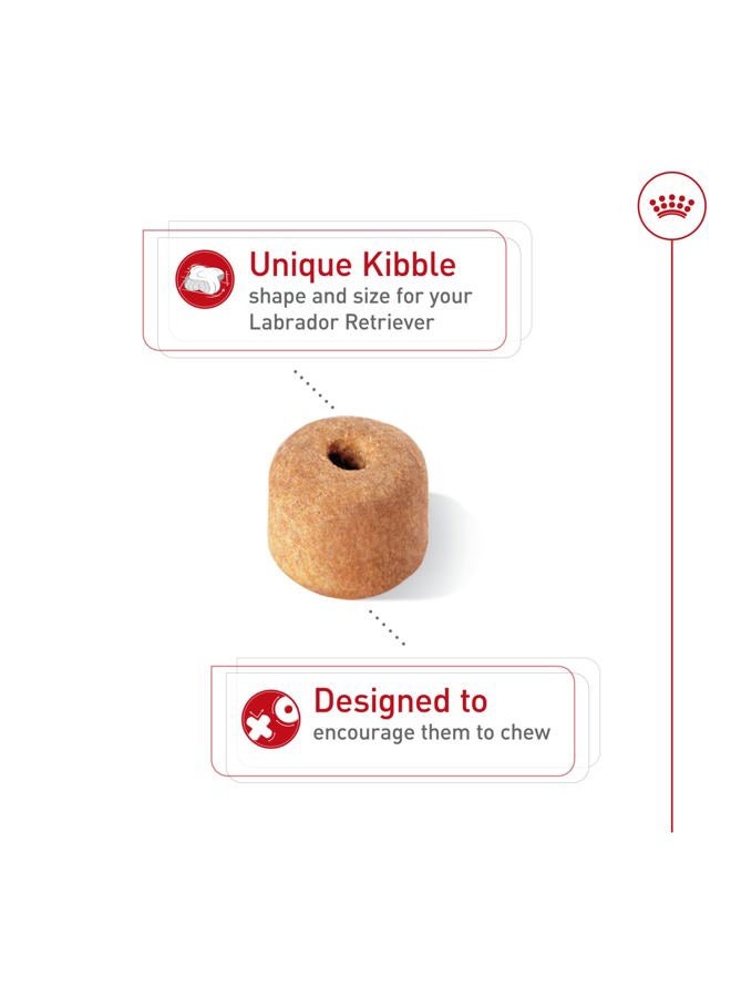 Royal Canin Breed Health Nutrition Labrador Retriever Adult Dry Dog Food 17 lb 453717 - Image 2