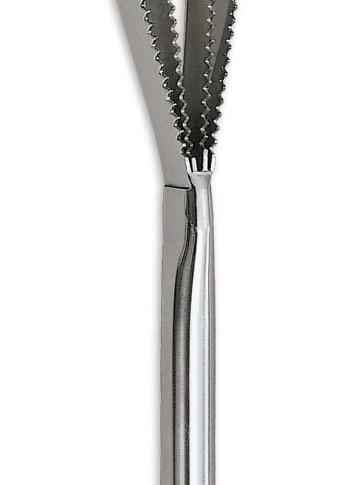 BS B&S 26cm Stainless Steel Fish Scaling Knife - Image 1