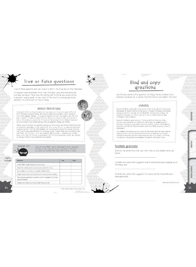 SATs Like a Ninja: Key facts and revision tips to supercharge your SA - Image 2