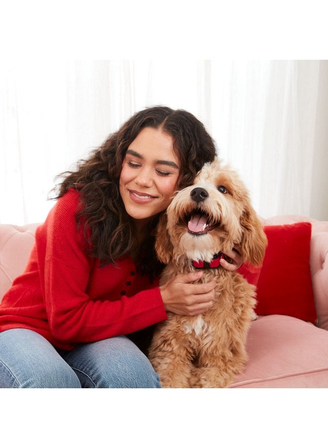 ميلك-بون حلوى صغيرة للكلاب من Milk-Bone Limited Edition Valentine's Sweetheart Snacks Mini، 25 أونصة (عبوة من قطعة واحدة) - Image 3