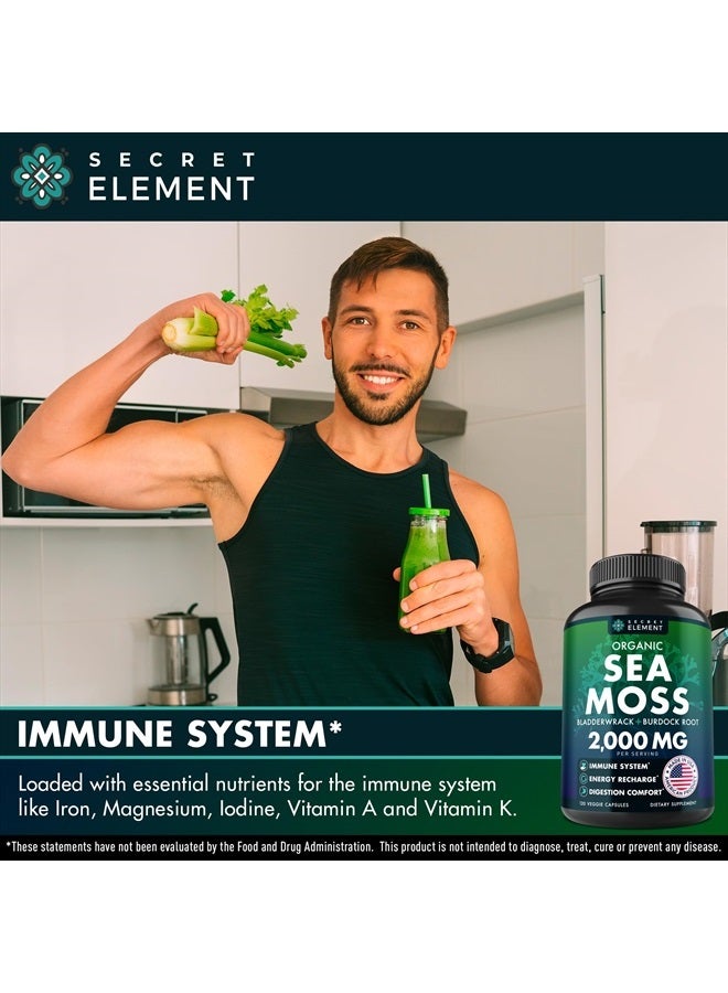 SECRET ELEMENT Organic Sea Moss Capsules - Burdock Root, Irish Moss and Bladderwrack - 120 Capsules - Image 4