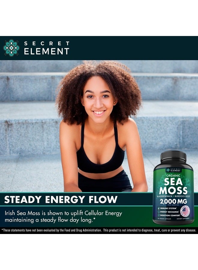 SECRET ELEMENT Organic Sea Moss Capsules - Burdock Root, Irish Moss and Bladderwrack - 120 Capsules - Image 5