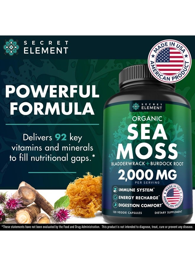 SECRET ELEMENT Organic Sea Moss Capsules - Burdock Root, Irish Moss and Bladderwrack - 120 Capsules - Image 3