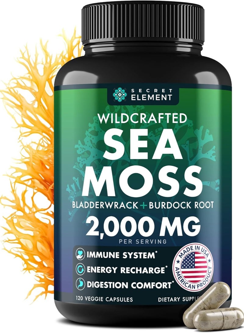 SECRET ELEMENT Organic Sea Moss Capsules - Burdock Root, Irish Moss and Bladderwrack - 120 Capsules - Image 1