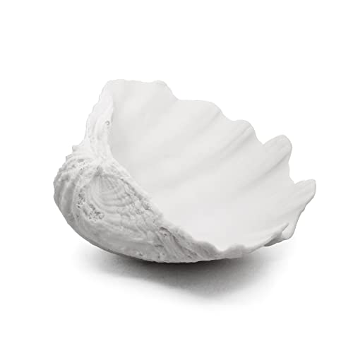 Accessoryway Large White Sea Shells Decorative Bowl Resin Clam Shell Bowl Beach Decorations for Home Coastal Beach Decor Decoration Storage Bowls & Home Office Nautical Themed Party Decor -10.2"-1PC - Image 1