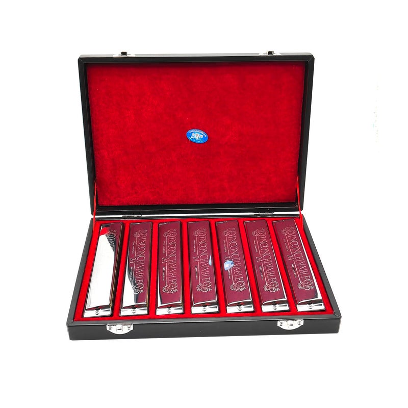 adiya Swan Harmonica 24 Hole Polyphonic C Key ABDEFG 7 Keys Set Professional Tremolo Harmonica