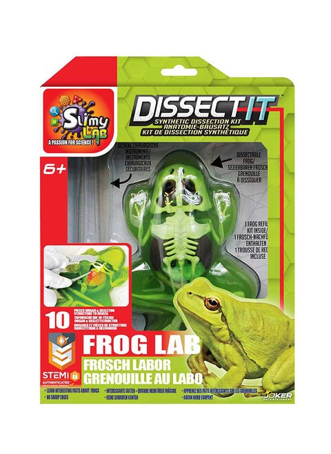 Dissect It Simulated Synthetic Lab Dissection Frog Lab