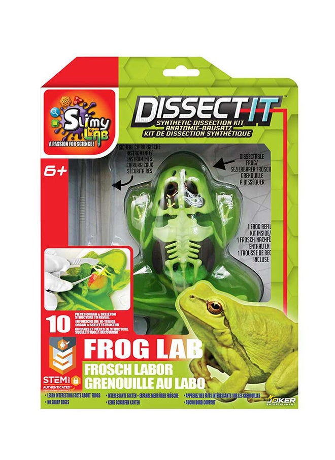 Slimy - Dissect It Simulated Synthetic Lab Dissection Frog Lab - Image 1