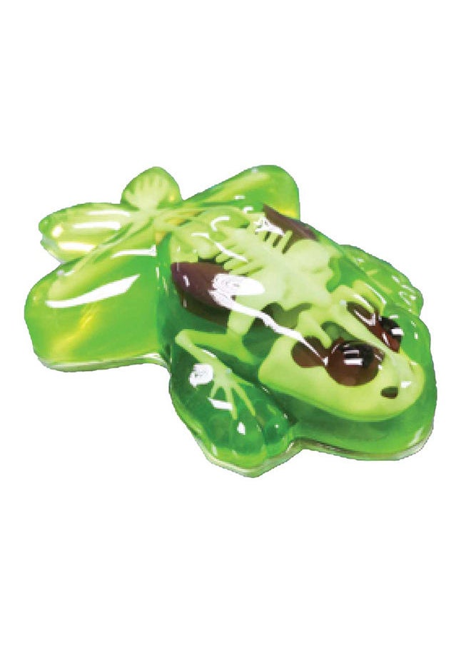 Slimy - Dissect It Simulated Synthetic Lab Dissection Frog Lab - Image 1