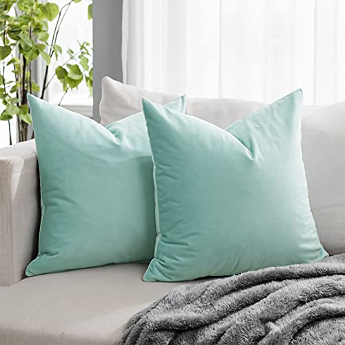 QUAFOO Mist Soft Velvet Throw Pillow Covers 28x28 inch Set of 2 for Sofa Couch Bed Living Room Decorative Luxury Solid Square Cushion Covers Case with Zipper - Image 1