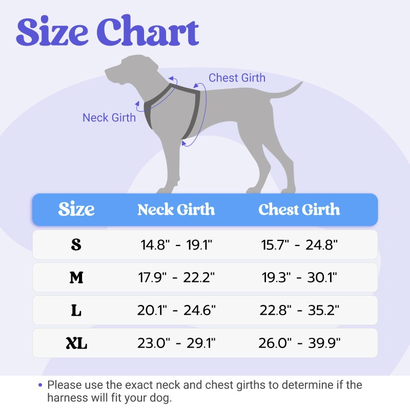 rabbitgoo Dog Harness Medium Sized, No Pull Pet Harness with Soft Padded Handle, Adjustable Reflective Vest with 3 Buckles, Easy Walking Harness with 2 Leash Clips, Light Blue, M - Image 2