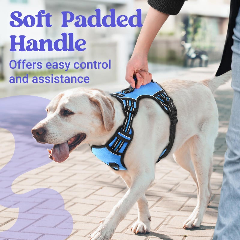 rabbitgoo Dog Harness Medium Sized, No Pull Pet Harness with Soft Padded Handle, Adjustable Reflective Vest with 3 Buckles, Easy Walking Harness with 2 Leash Clips, Light Blue, M - Image 3