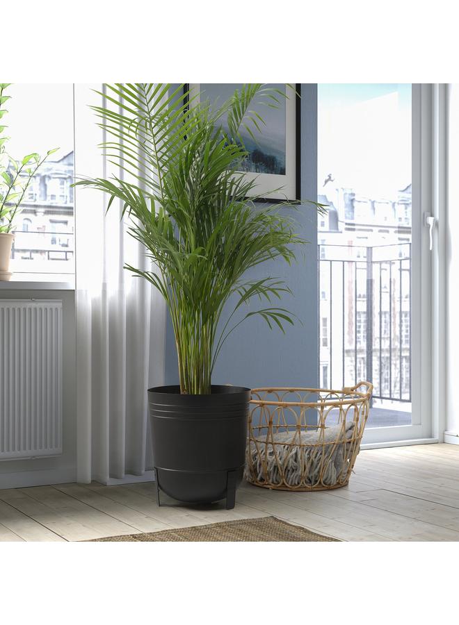 erorex Plant Pot, In/Outdoor/Black, 32 Cm - Image 3