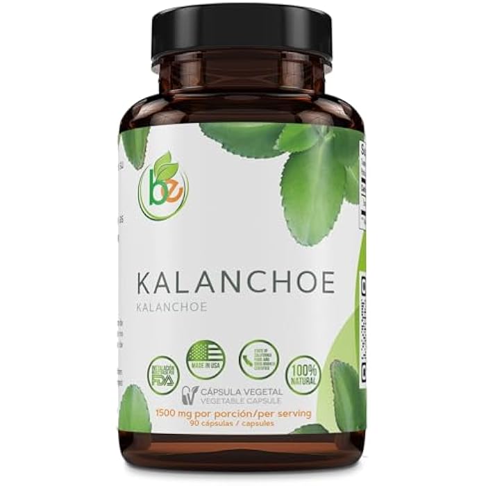 B-Experts Kalanchoe Pinnata Forte(Leaf of Life) 90 Capsules (1500 mg per Serving)Bryophyllum Pinnatum – 100% Natural,Vegan,Non-GMO, Herbal Dietary Supplement for Antioxidant & Wellness Support – by BexpertsUSA - Image 1