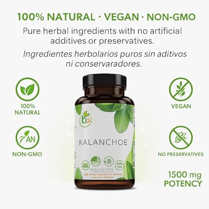 B-Experts Kalanchoe Pinnata Forte(Leaf of Life) 90 Capsules (1500 mg per Serving)Bryophyllum Pinnatum – 100% Natural,Vegan,Non-GMO, Herbal Dietary Supplement for Antioxidant & Wellness Support – by BexpertsUSA - Image 4