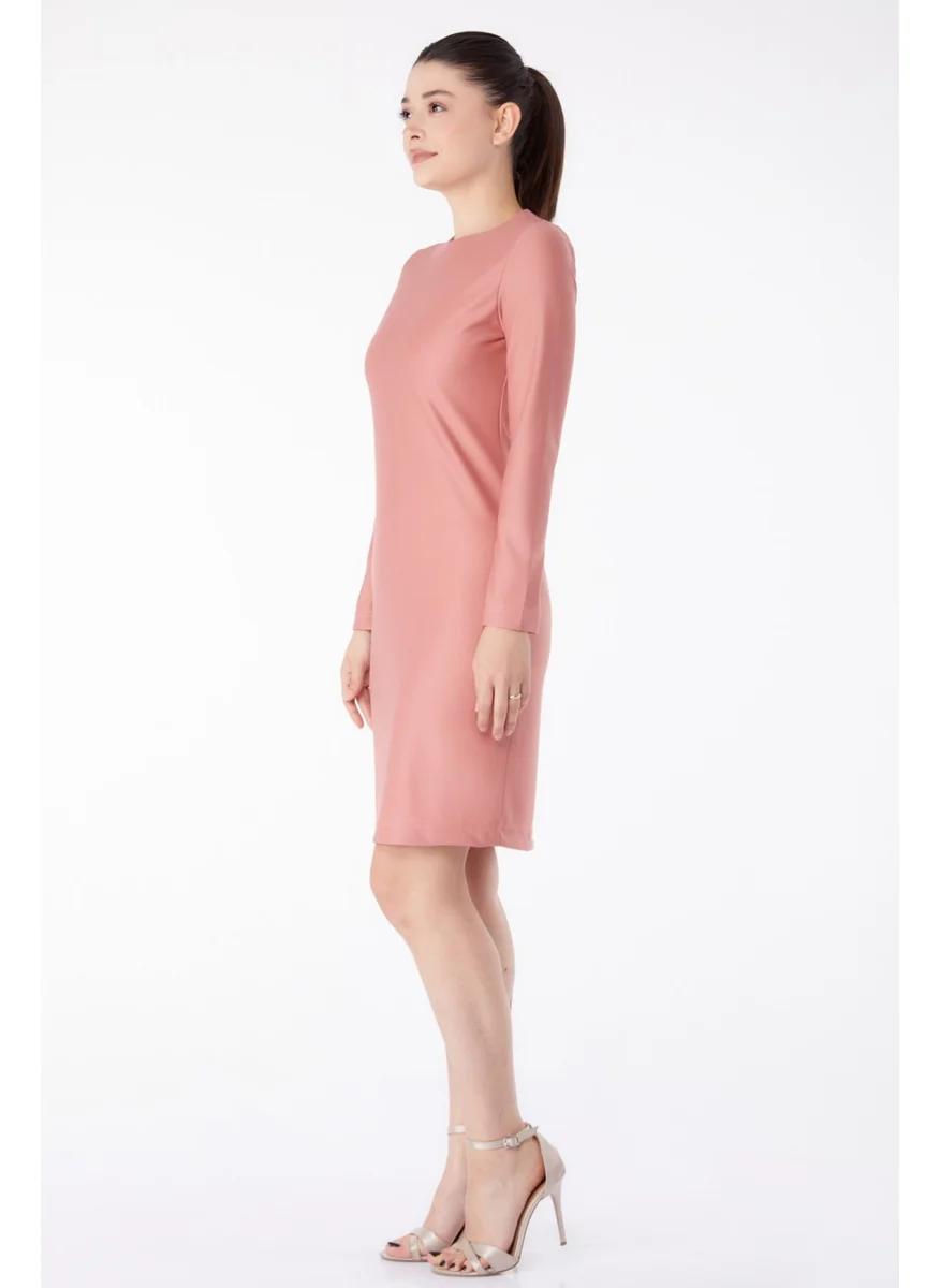 Tofisa Plain Crew Neck Women's Pink Evening Dress - 13188