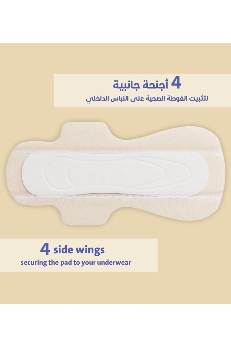 سيركلز فوط ليلية صحية من القطن العضوي ليلية مع أجنحة، 8 قطع - Image 2