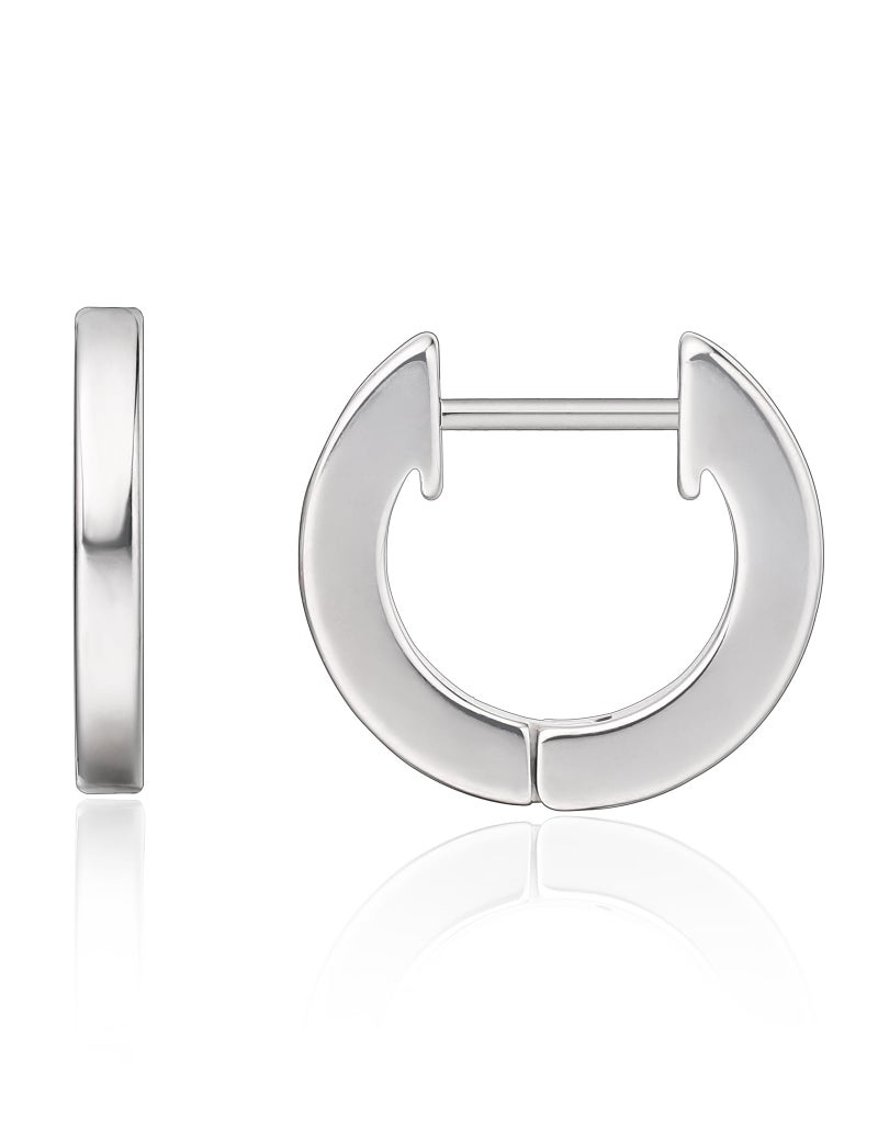Limerencia G23 Pure Titanium Hypoallergenic Huggie Hoop Earrings for Women Sensitive Ears (silver) - Image 1