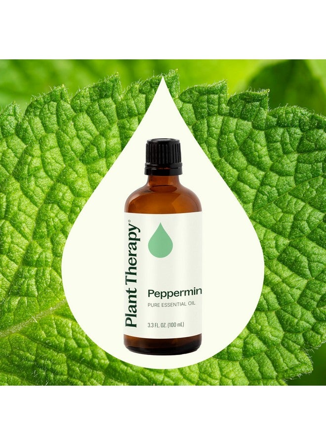Plant Therapy Peppermint Essential Oil 100 mL (3.3 oz) 100% Pure, Undiluted, Natural Aromatherapy for Diffuser & Topical Use, Digestion, Respiratory, & Massage, Peppermint Oil for Skin & Hair - Image 3