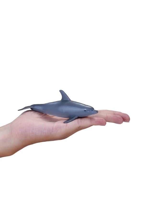 Mojo Bottlenose Dolphin -M - Image 4