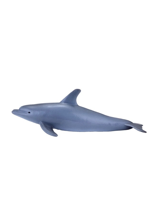 Mojo Bottlenose Dolphin -M - Image 1