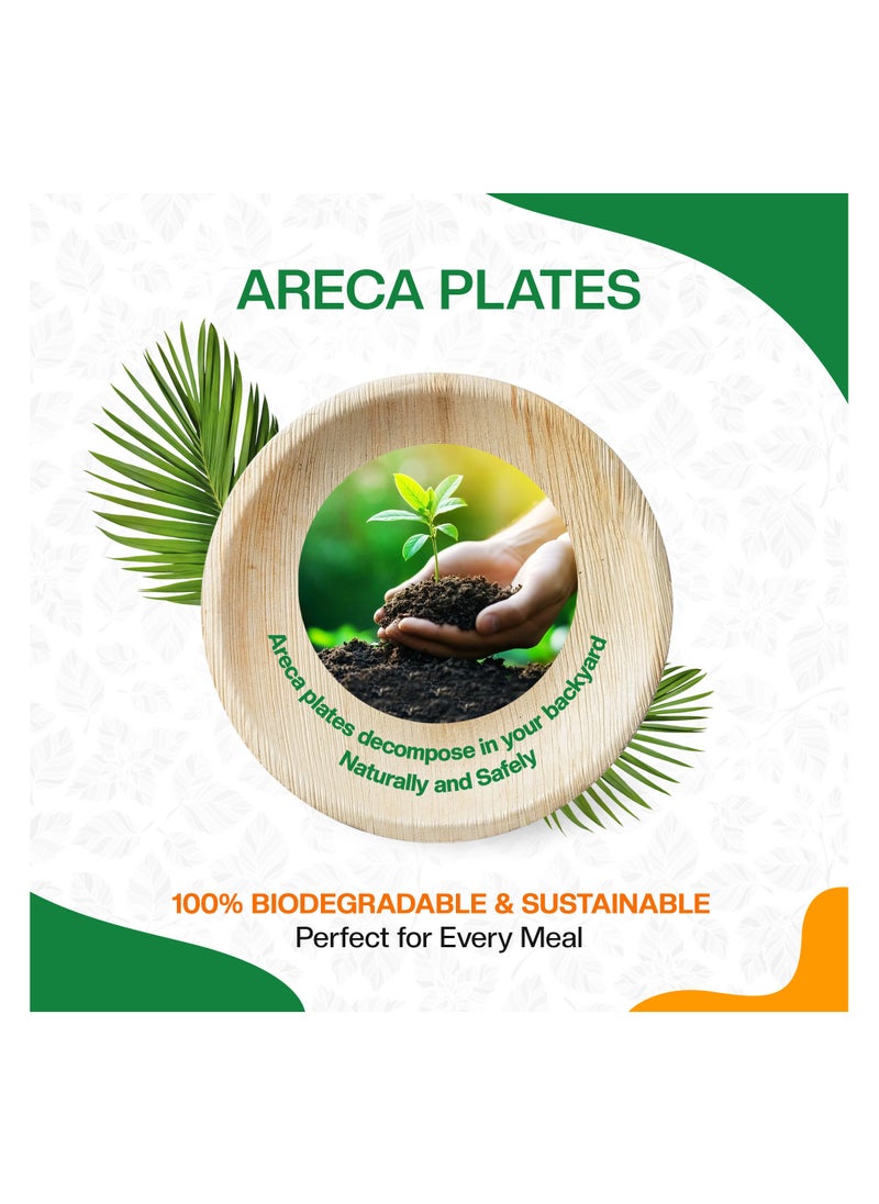 EcoEdge - EcoEdge 9 Inch Round Areca Palm Leaf Disposable Plates (Pack of 10) | Recyclable, Non-Toxic, Eco Friendly, Biodegradable, Compostable | Bamboo Wood Finish, Naturally Elegant, Rustic | 100% Plant Based - Image 1